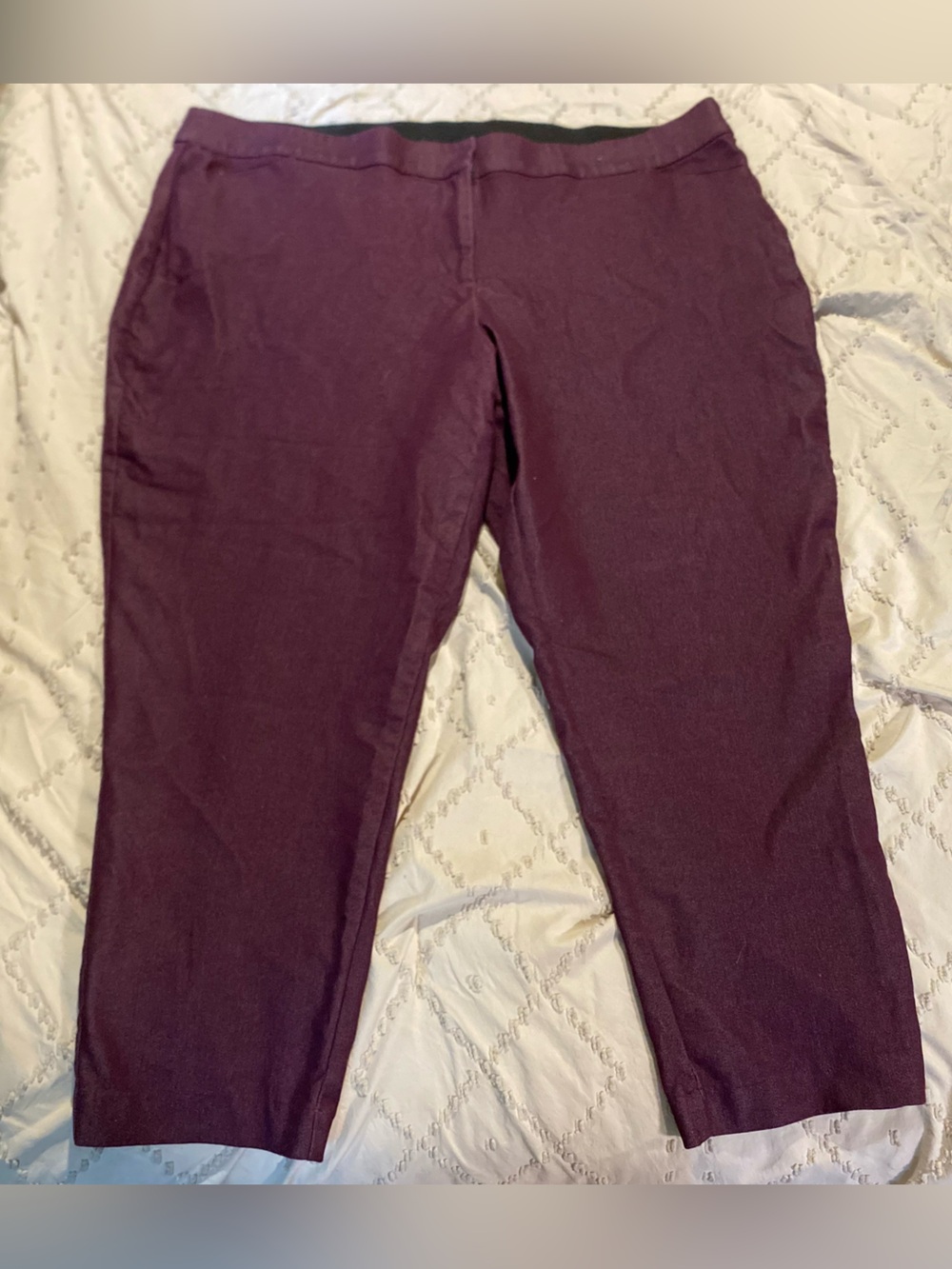 EVRI Pants